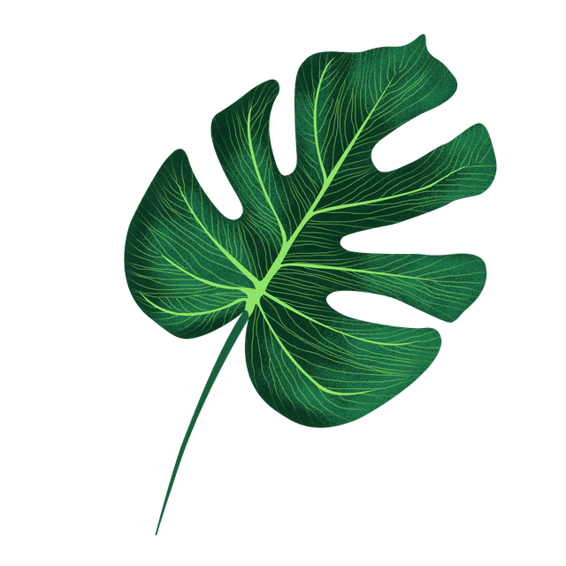 leaf